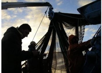 Mútua dos Pescadores: O grande segredo é estar ao lado das pessoas no momento certo