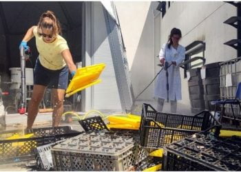 Politécnico de Leiria promove economia verde com projeto CircularSeas