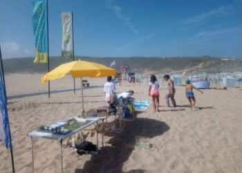 SMAS de Sintra promovem ações de educação e sensibilização ambiental nos meses de agosto e setembro