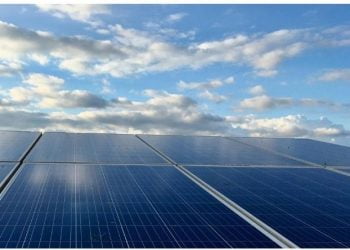 EDP Renováveis anuncia mais de 50 projetos de energia solar com a Walmart