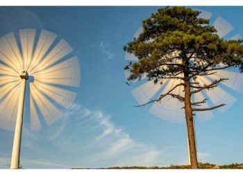 Startups apoiadas pela EIT InnoEnergy contribuem paraobjetivo europeu de redução de emissões de CO2 até 2030