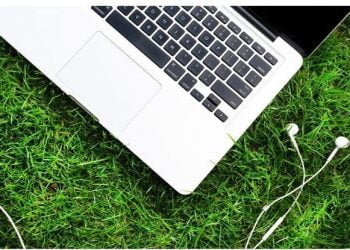 Mais de metade dos CEOs identificam a sustentabilidade como um dos maiores desafios nos próximos três anos