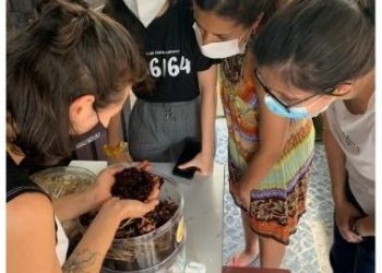 Projeto português de compostagem comunitária distinguido na final Europeia do ClimateLaunchpad