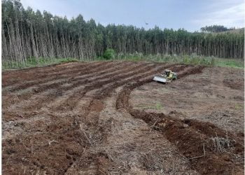 Projeto rePLANt em destaque na feira Agroglobal