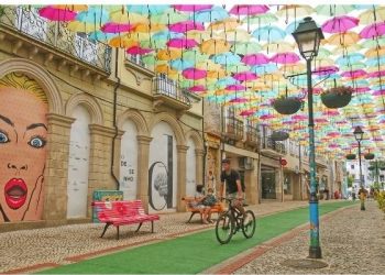 Águeda: Um território mais verde, limpo e saudável