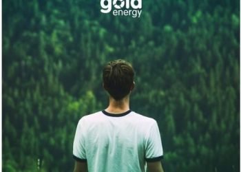 Goldenergy lança plataforma com estatísticas e aconselhamento sobre o Fundo Ambiental
