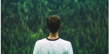 Goldenergy lança plataforma com estatísticas e aconselhamento sobre o Fundo Ambiental