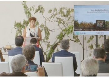 Comportamento do cidadão tem um “impacto a jusante” que se reflete nos resultados de gestão dos REEE