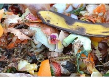 Lipor renova parceria com a Dariacordar na luta contra o desperdício alimentar