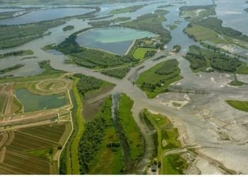 Comissão Europeia premeia Merlin com 21 milhões de euros para recuperar ecossistemas de água doce