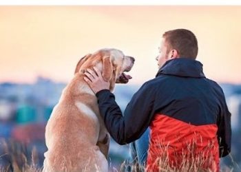 Royal Canin anuncia neutralidade carbónica até 2025