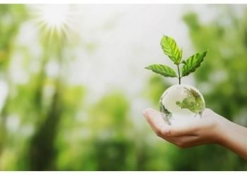 “Schools Go Green” é o novo projeto Erasmus+ que promove o ambiente e a ação climática