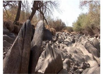 Exposição Sustentar retrata resposta aos desafios sociais e ecológico