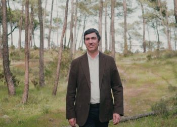 “Consumir madeira para produzir energia não faz qualquer sentido”, alerta Centro PINUS