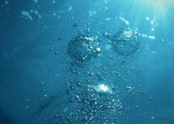 Produção de hidrogénio renovável em Sines avança com o projeto GreenH2Atlantic