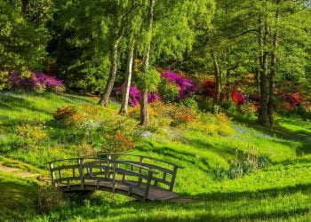 Espaços Verdes: Uma tendência que veio para ficar?