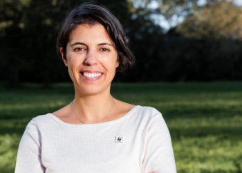 Recursos naturais: A valorização, os limites e os riscos