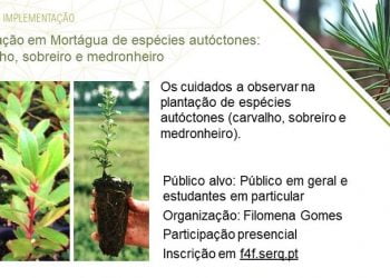 ESAC e Município de Mortágua promovem plantação de espécies autóctones