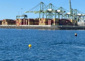 Porto de Sines apoia projeto de produção de macroalgas