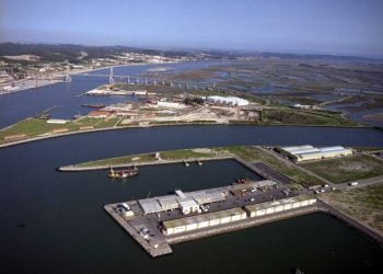 Docapesca anuncia investimento de 36 mil euros no porto de pesca da Figueira da Foz