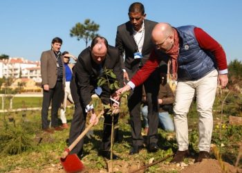 Navigator “planta” parque arborizado no campus da Nova SBE