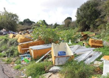 Município de Sintra remove mais de seis toneladas de resíduos volumosos