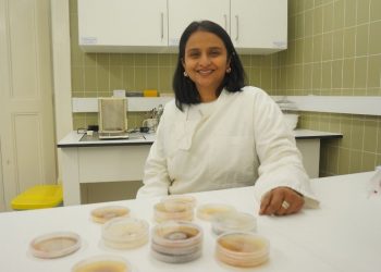 Nanoplásticos colocam em risco o funcionamento dos ecossistemas de água doce, revela estudo