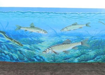 Projeto “Há ART nas Fábricas de Água” leva arte urbana às instalações da Tejo Atlântico