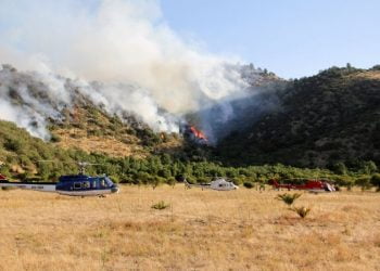 Projeto junta especialistas para tornar a União Europeia mais resiliente ao fogo