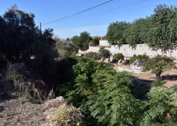 Loulé investe 1,5 milhões de euros em coletor para melhorar a qualidade ambiental do Cadoiço