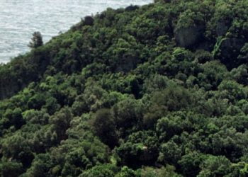 REACT-EU: 176 candidaturas submetidas à dimensão Resiliência abrangem investimento total de 38 milhões de euros