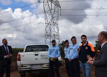 Município de Albergaria-a-Velha e REN juntos pela defesa da floresta contra os incêndios