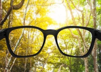 Institutoptico assinala Dia da Terra através de plantação de árvores