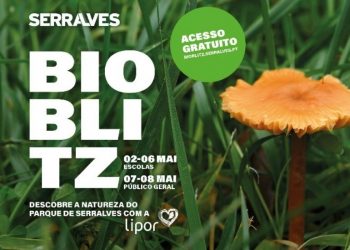 8.ª edição do BioBlitz regressa em formato híbrido