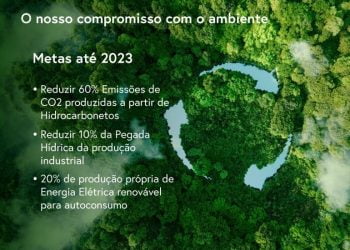 Soja de Portugal quer que 20% da produção de energia elétrica seja renovável para autoconsumo