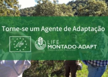 Proprietários e gestores já podem aceder à Plataforma de Apoio Montado Adapt