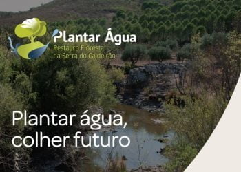 “Plantar Água, Colher o Fruto” é a nome da nova campanha da ANP|WWF para a região do Algarve