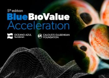 Candidaturas para o programa Blue Bio Value encerram a 30 de maio