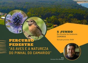 Centro PINUS assinala Dia Mundial do Ambiente com percurso pedestre no Pinhal do Camarido