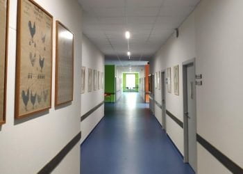 ESAC avança na eficiência energética com cinco projetos