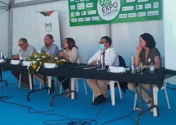 ICNF: “Sem floresta de produção a floresta não terá futuro”