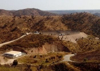Complexo de Treino e Recuperação de Lince-ibérico representa investimento de 600 mil euros ao ICNF