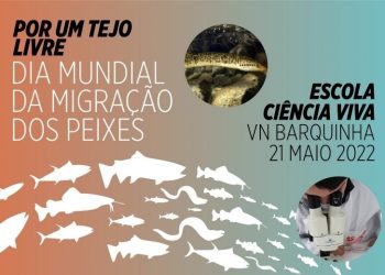 Associações juntam-se pela proteção dos rios e peixes