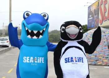 SEA LIFE Porto assinala Dia da Criança com programa dedicado à preservação dos oceanos e espécies ameaçadas