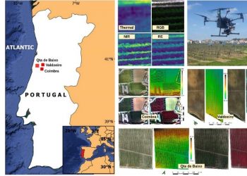 Cientistas testam novos sistemas inteligentes de monitorização de vinhas melhorando impacto no ambiente
