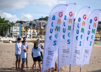 Blue Games ganha expansão ao nível nacional