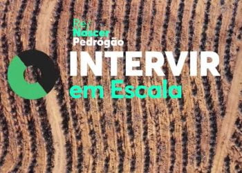 “ReNascer Pedrogão” é um projeto demonstrativo do compromisso da Celpa para com as florestas