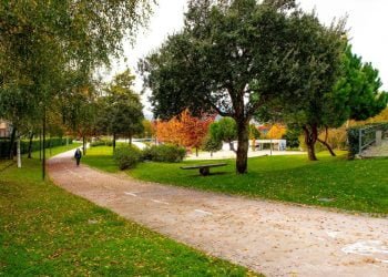 Fafe recebe 78 mil euros do REACT para a criação de ilhas sombra no centro da cidade