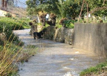 Impactos humanos afetam o funcionamento de rios e ribeiros, conclui estudo