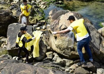 SEA LIFE Porto junta-se à iniciativa 24h Global Beach Clean Event no Dia Mundial dos Oceanos